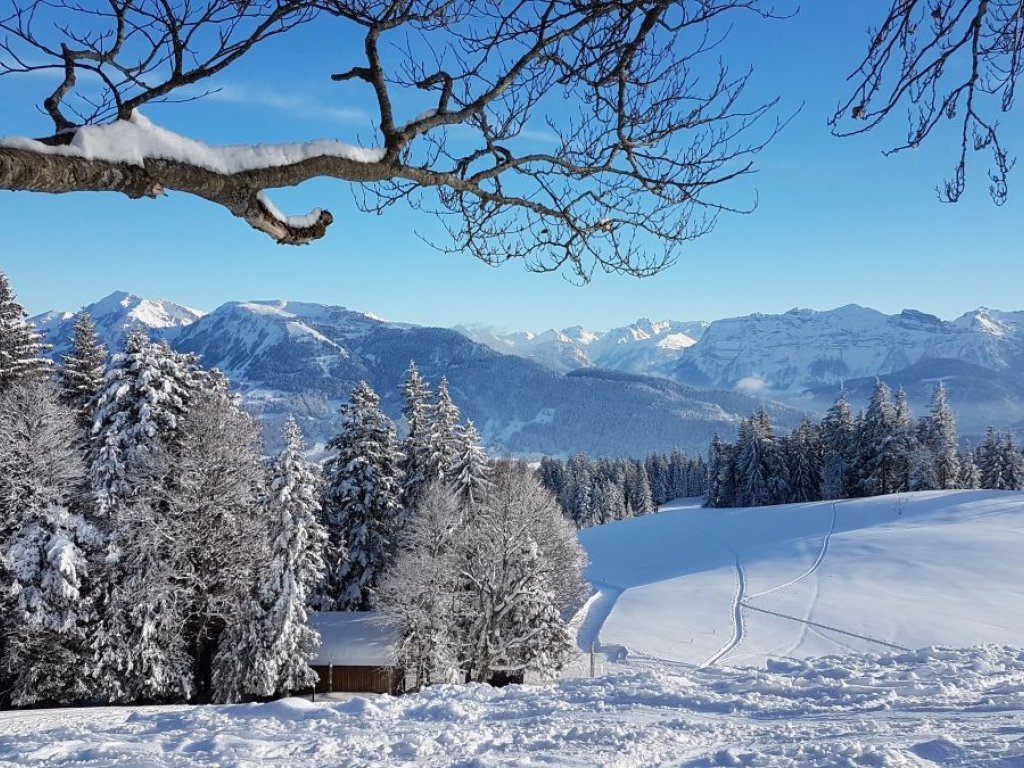 Alberschwende im Winter