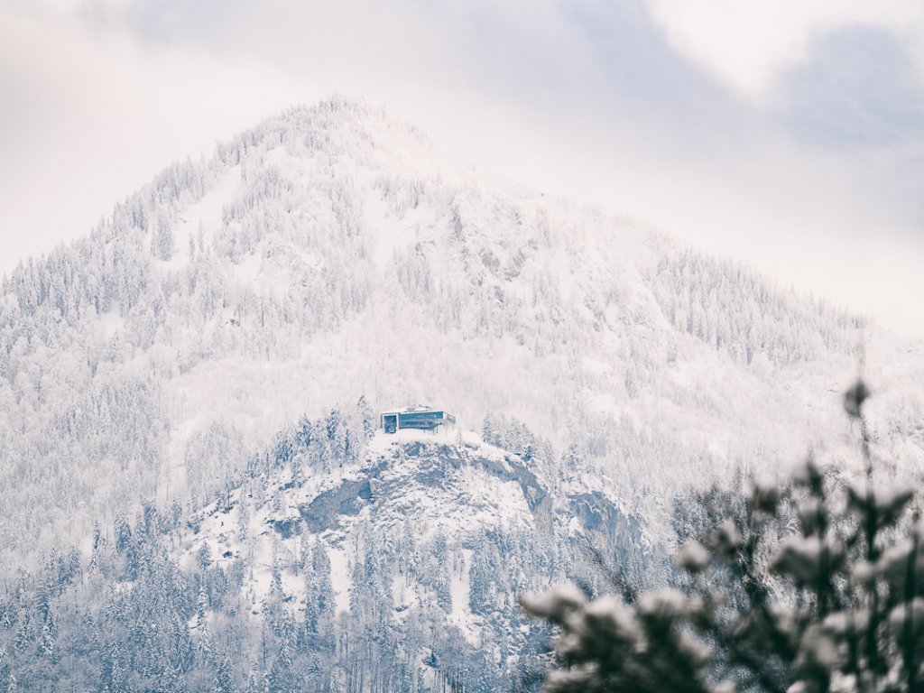 Der Karren im Winter 