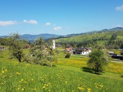 Müselbach im Frühling